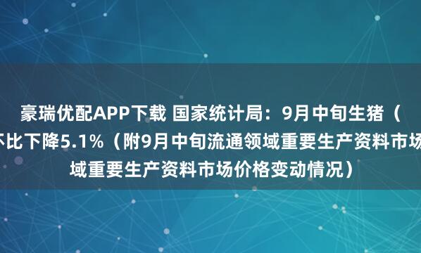豪瑞优配APP下载 国家统计局：9月中旬生猪（外三元）价格环比下降5.1%（附9月中旬流通领域重要生产资料市场价格变动情况）