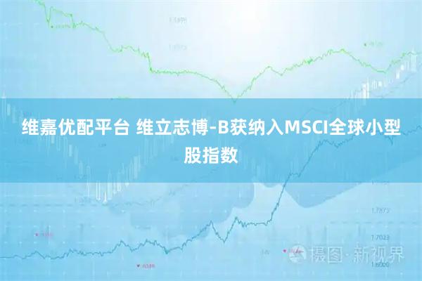 维嘉优配平台 维立志博-B获纳入MSCI全球小型股指数