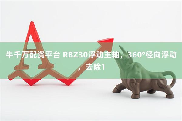 牛千万配资平台 RBZ30浮动主轴，360°径向浮动，去除1