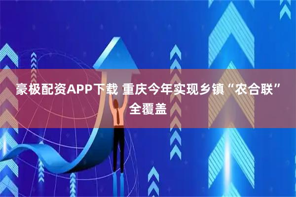 豪极配资APP下载 重庆今年实现乡镇“农合联”全覆盖